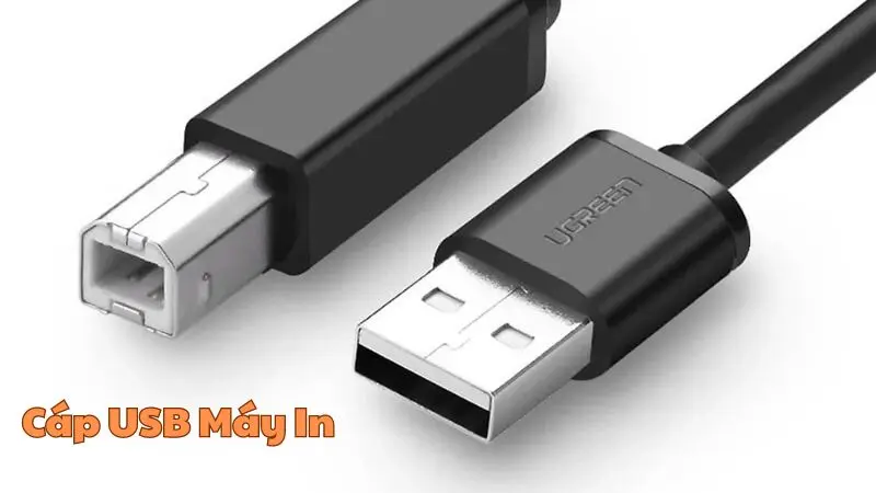 Cáp USB Máy In