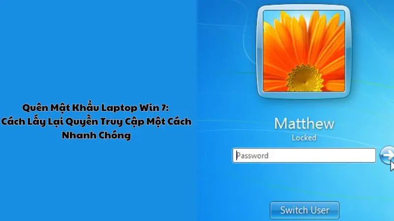 Quên Mật Khẩu Laptop Win 7: Cách Lấy Lại Quyền Truy Cập Một Cách Nhanh Chóng